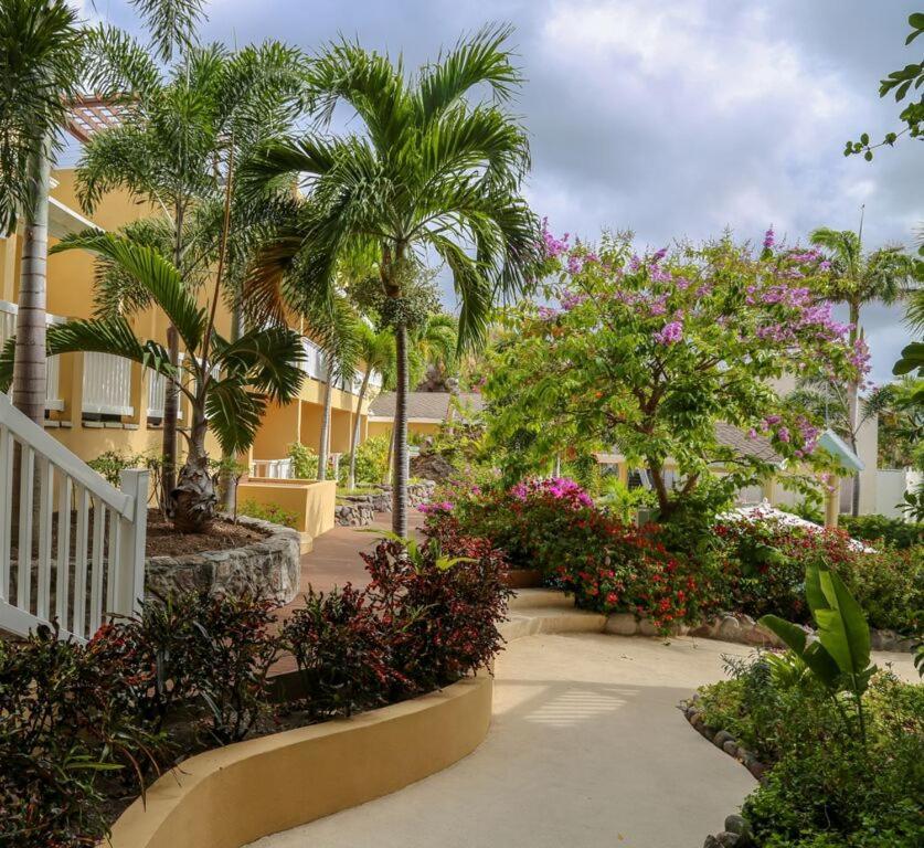 Ocean Terrace Inn Hotel Basseterre Exterior photo